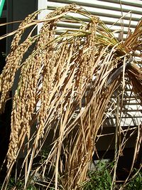 ine-090920 ine-090920